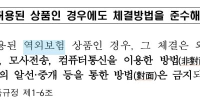 외국보험, 해외보험, 역외보험? 뭐라 부르지?