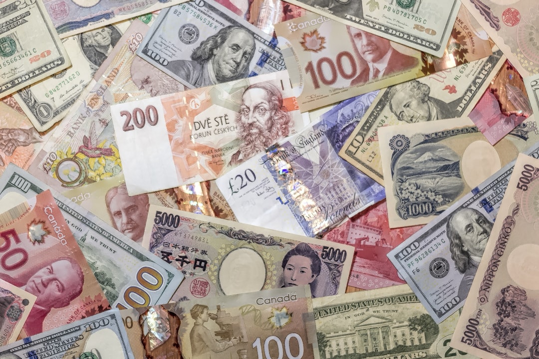 자산 포트폴리오 점검 - currency diversification global investment