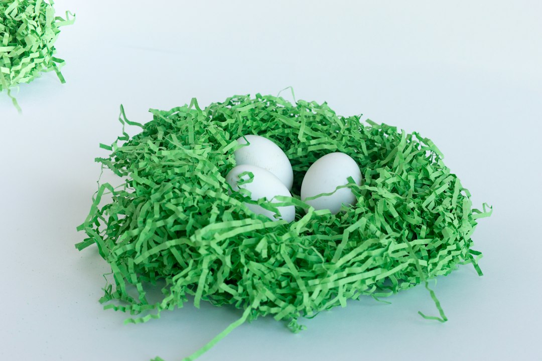 자녀 교육비와 노후 준비 - retirement nest egg dollar