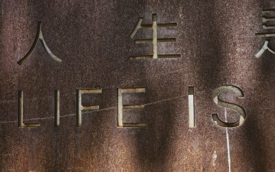 해외 보험 상품 비교: 종신보험 vs 유니버설 라이프 – 나에게 맞는 달러 자산은?