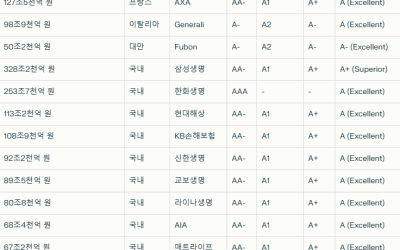2025년 돈은 왜 국경을 넘어 이동하는가? 해외 보험 투자 해답