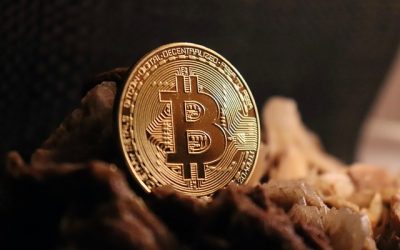 비트코인 ETF 투자 전략 꿀팁 – S&P 500만 믿었다간 놓친 성장 기회