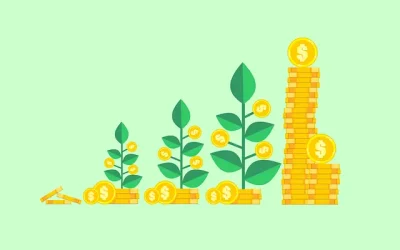 안정적 투자 수익, 해외 보험으로 연 5%를 만드는 방법